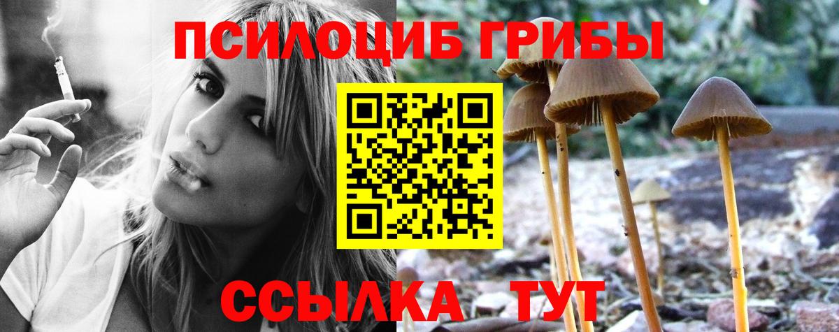 Галлюциногенные грибы Psilocybine cubensis Трёхгорный
