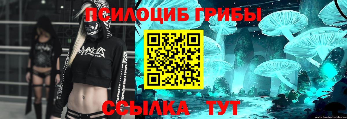 Галлюциногенные грибы Psilocybe  Вход с VPN  Трёхгорный 